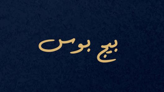 مسلسل بيج بوس الحلقة 1